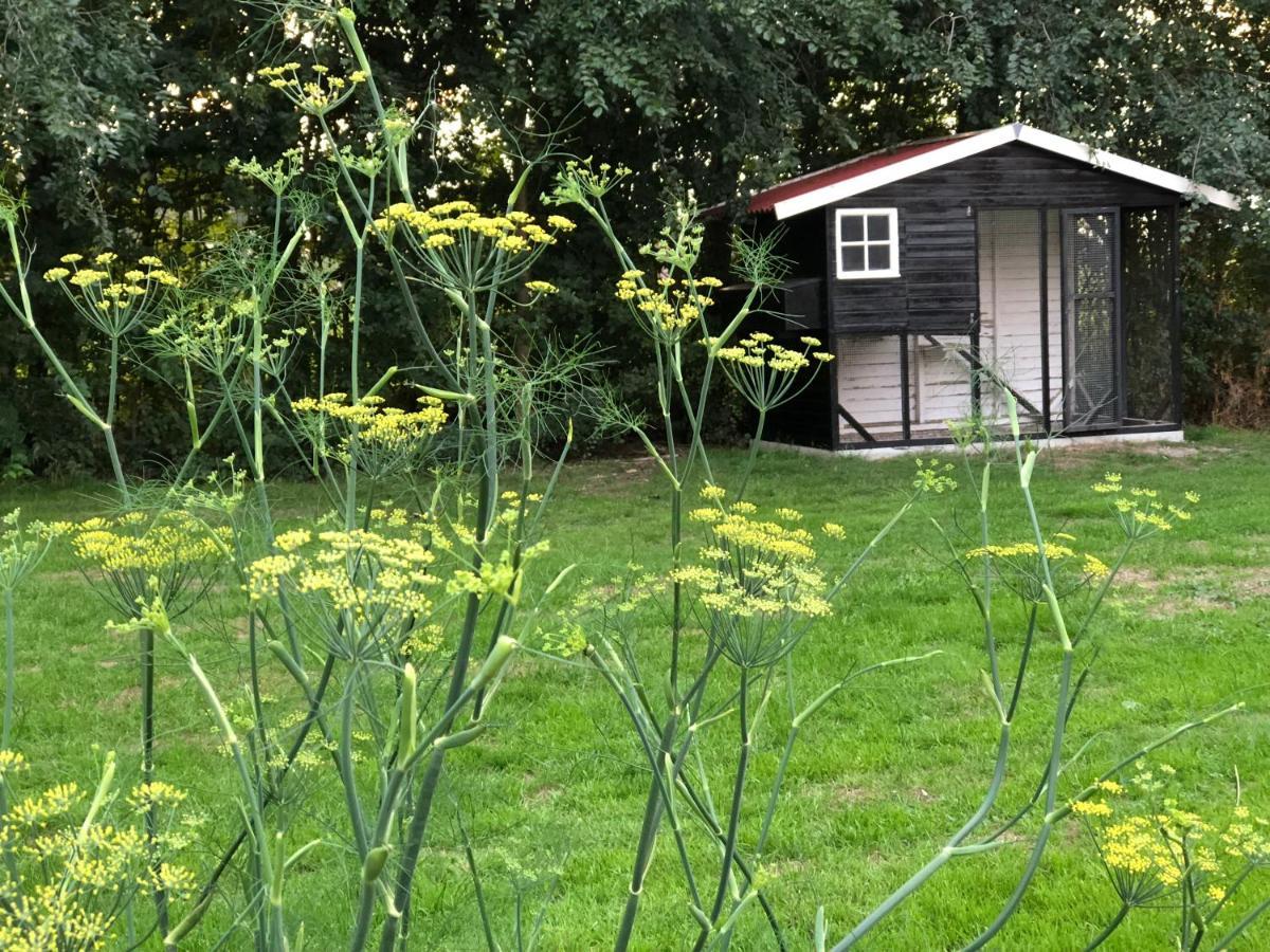 Sint Jansklooster Het Leeuwterveld Bed & Breakfast エクステリア 写真