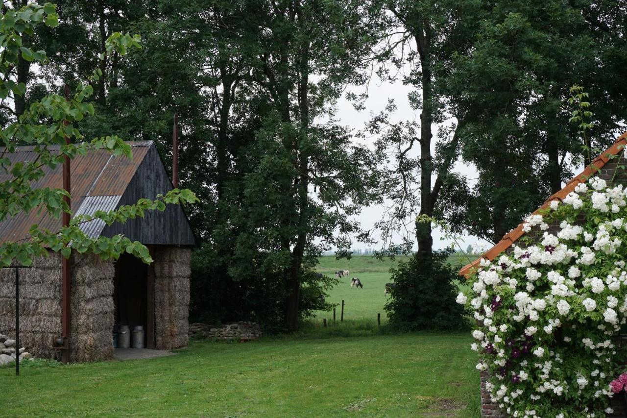 Sint Jansklooster Het Leeuwterveld Bed & Breakfast エクステリア 写真