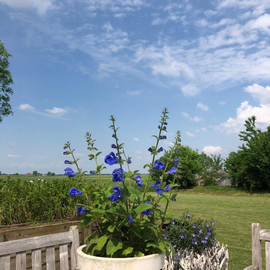 Sint Jansklooster Het Leeuwterveld Bed & Breakfast エクステリア 写真
